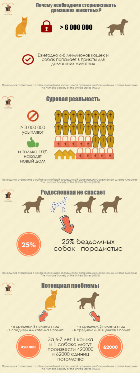 стерилизация собак инфографика