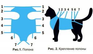 Повязка для кошки своими руками Повязка для кошки своими руками