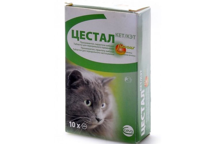 Цестал инструкция по применению для кошек, cestal cat