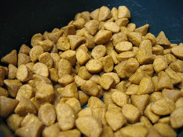 гранулы супер-премиального корма для кошек
