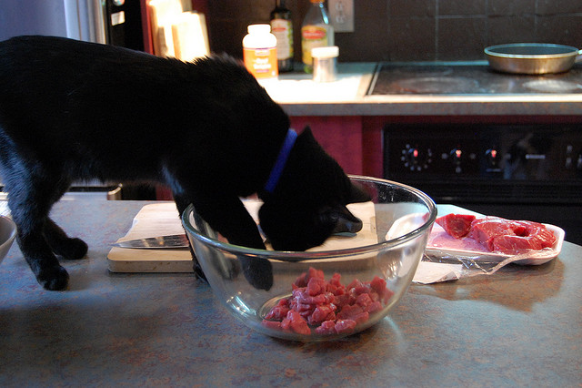 Мясо часто приводит к запорам у кошек, это очень тяжелая пища