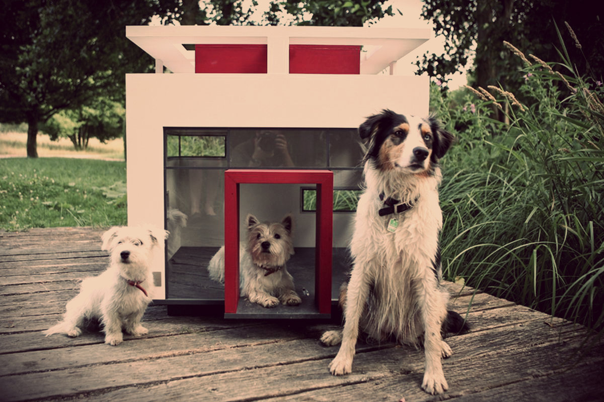 домик для собак