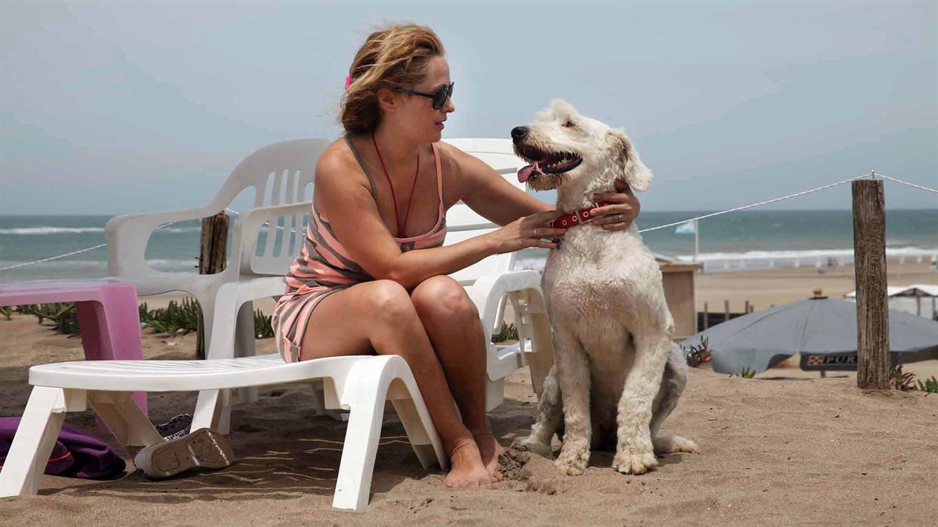 на пляже для собак