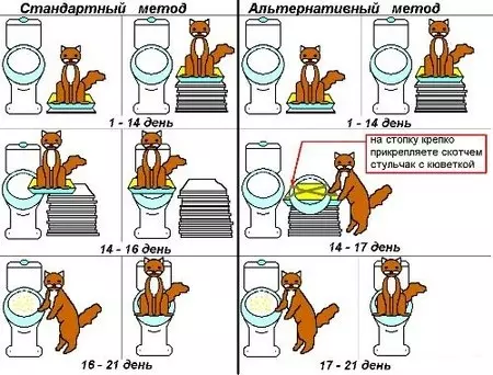 Система приучения кошки к унитазу Домакот - «Все кошки индивидуальны, как и люди!» | отзывы