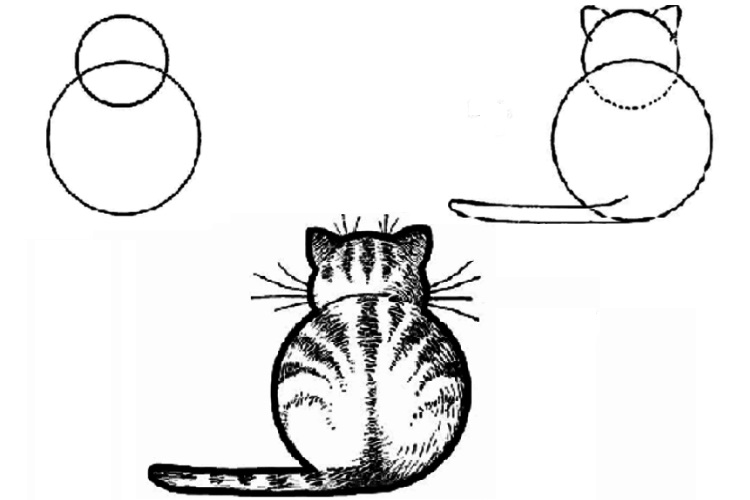 Рисунок кошки из окружностей