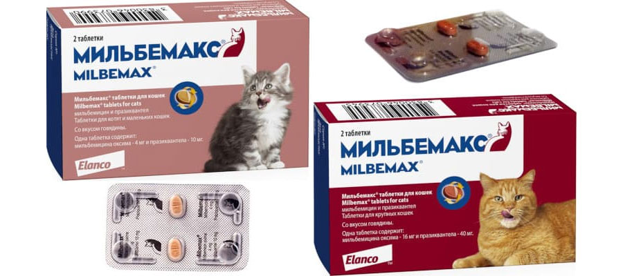 Мильбемакс (Milbemax) – таблетированный противогельминтный препарат для кошек 