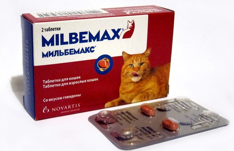 Мильбемакс для собак: как принимать при паразитах, возможные побочные эффекты