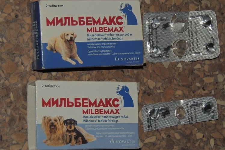 Таблетки Мильбемакс для собак и щенков