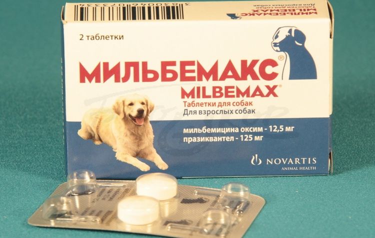 Таблетки от глистов Мильбемакс для собак
