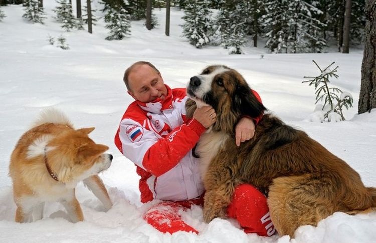 Путин гуляет со своими собаками в снегу