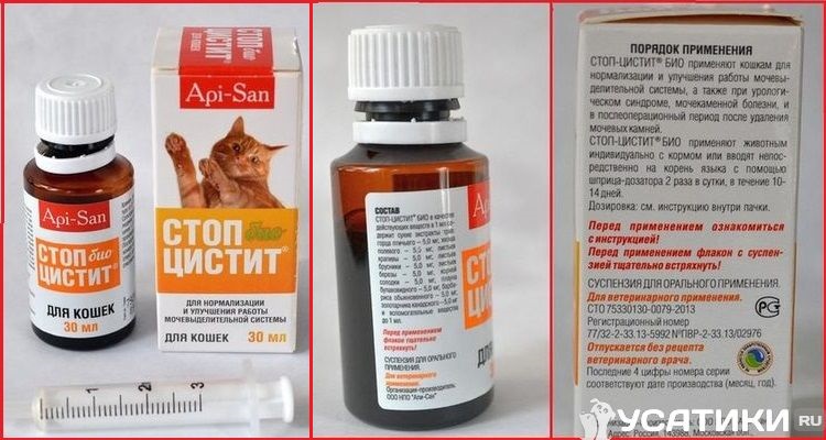 Состав и инструкция к препарату "Стоп-цистит" для кошек
