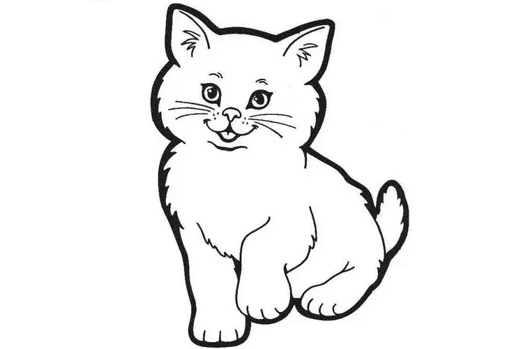 Раскраски Коты, кошки, котята распечатать на А4
