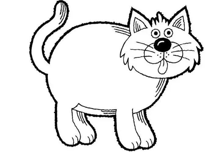 Раскраска с карандашами «Кошки и собаки»