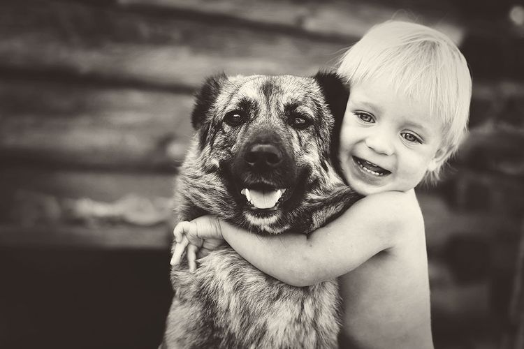 Ребенок обнимает собаку