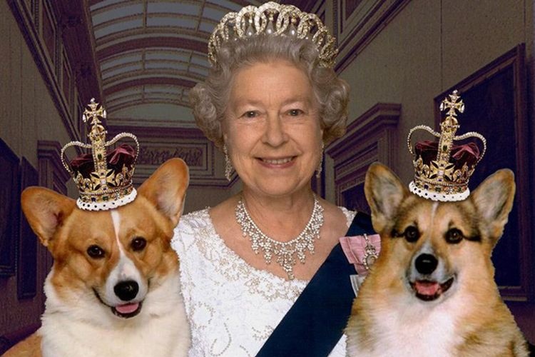 Королева Англии и ее собаки