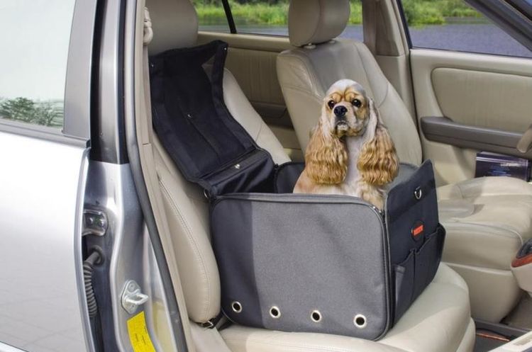 Автомобильная сумка для собак