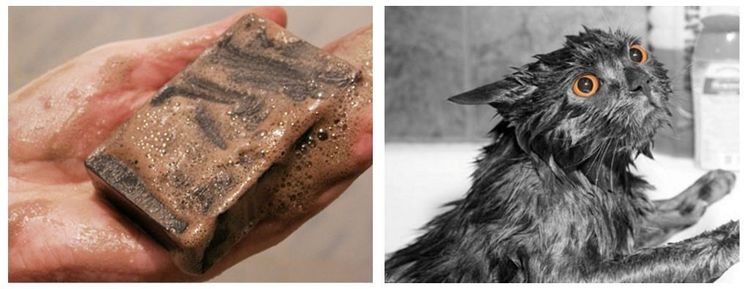 Как помыть кошку дегтярным мылом