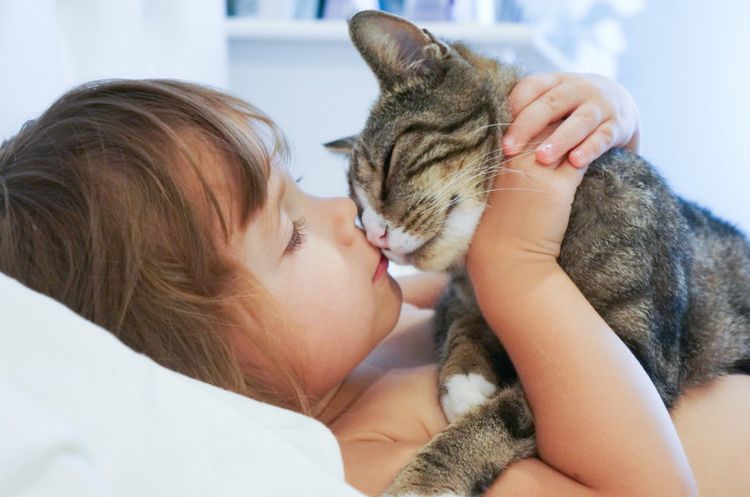 Ребенок целует котенка