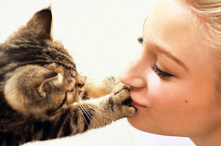 Защо не може да целува котки и котки