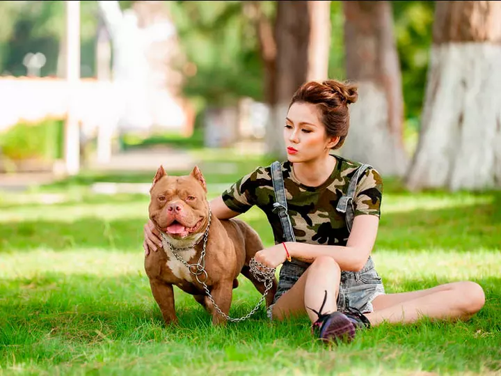 Puppygirl. Американский булли девочка. Собака американский булли девочка. Девушка с американским булли. Фотосессия с американским булли девушка.