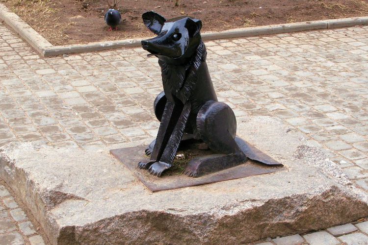 Памятник «Бродячей собаке Гаврюше» (г. Санкт-Петербург)