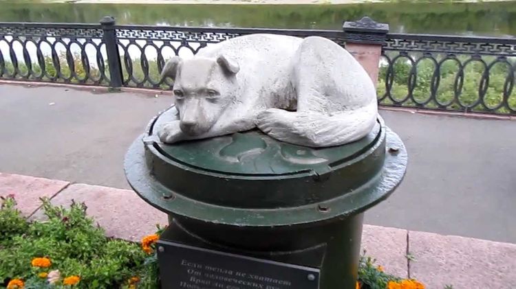 Памятник бездомной собаке (г. Кемерово)
