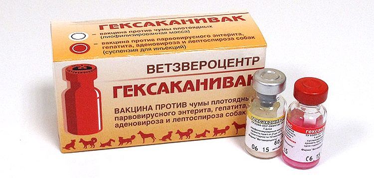 Вакцина Гексаканивак для собак 