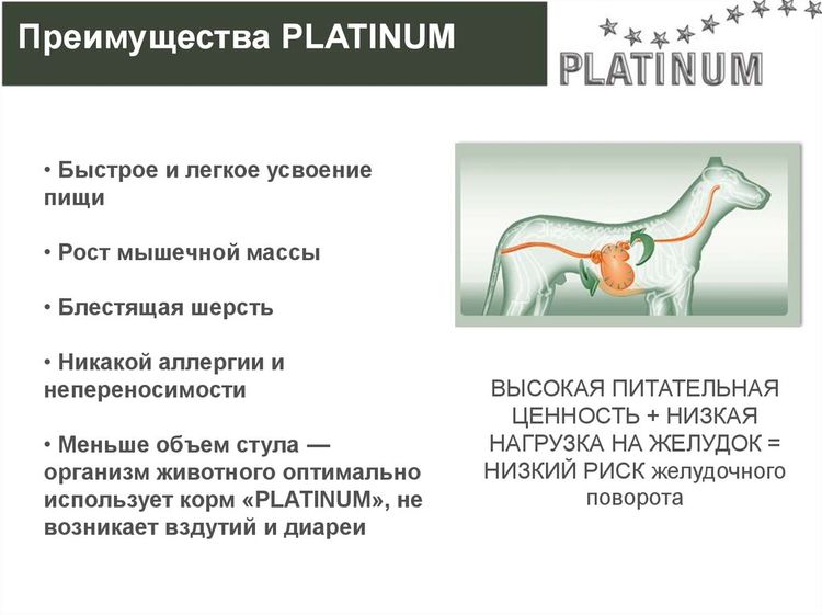 Усваяемость корма Platinum