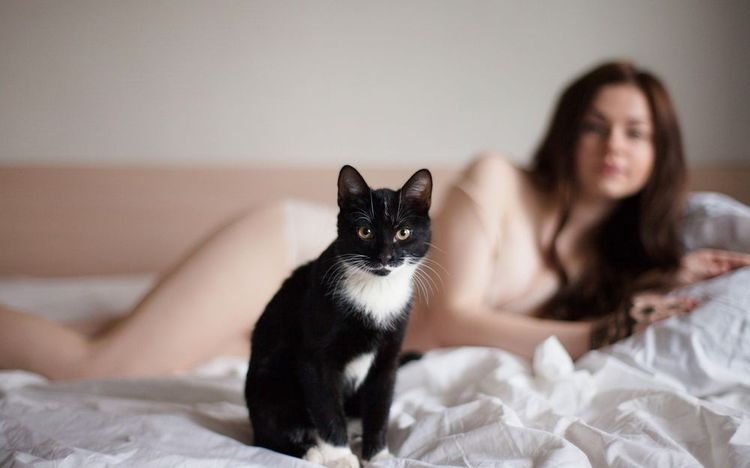 Черная кошка на кровати