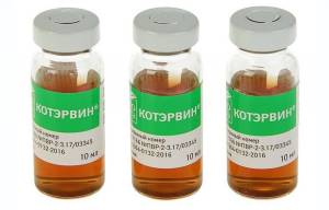 Котэрвин для кошек: инструкция и показания к применению, отзывы, цена