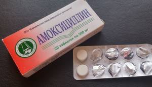 Амоксициллин для кошек: инструкция и показания к применению, отзывы, цена