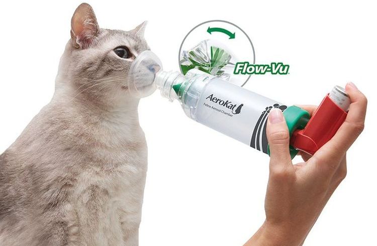 Аэрозоль от астмы у котов "Аэрокет"