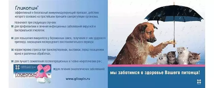 Гликопин для кошек. Гликопин для собак. Гликопин аналоги для собак. Реклама собака с зонтиком препарат для собак и кошек гликопин. Семинара для кошек инструкция.