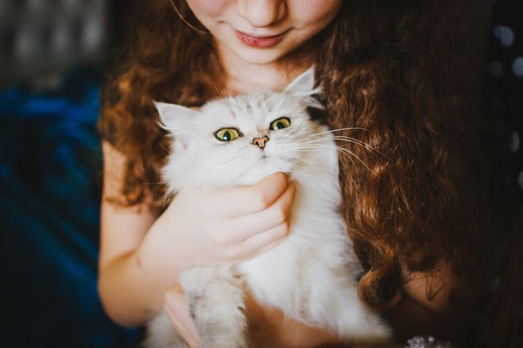 Белый кот на руках у девочки