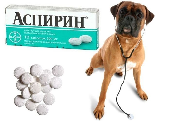 Аспирин для собаки