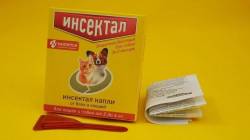 Инсектал для собак: показания и инструкция по применению, отзывы, цена