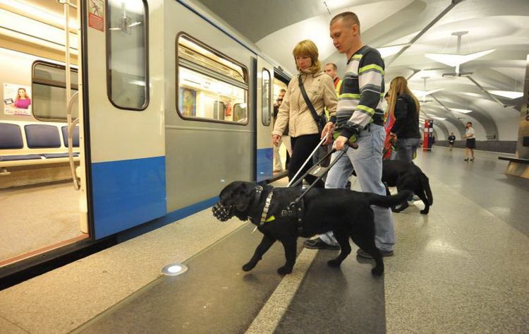 Собака заходит в метро