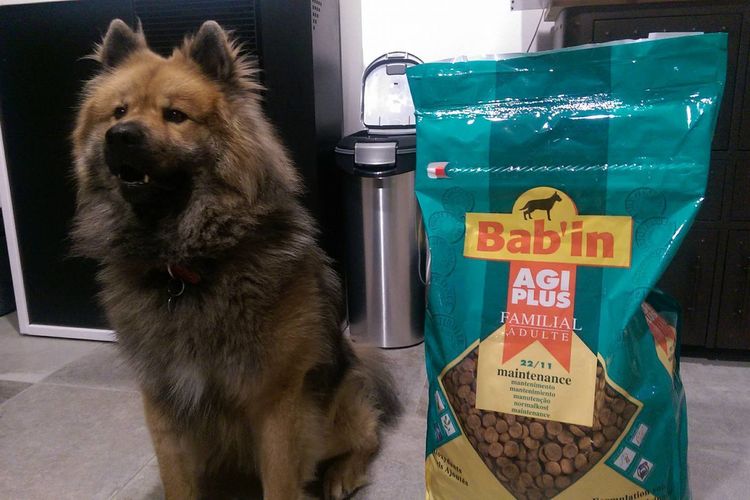 Бабин (Babin) - корм для собак