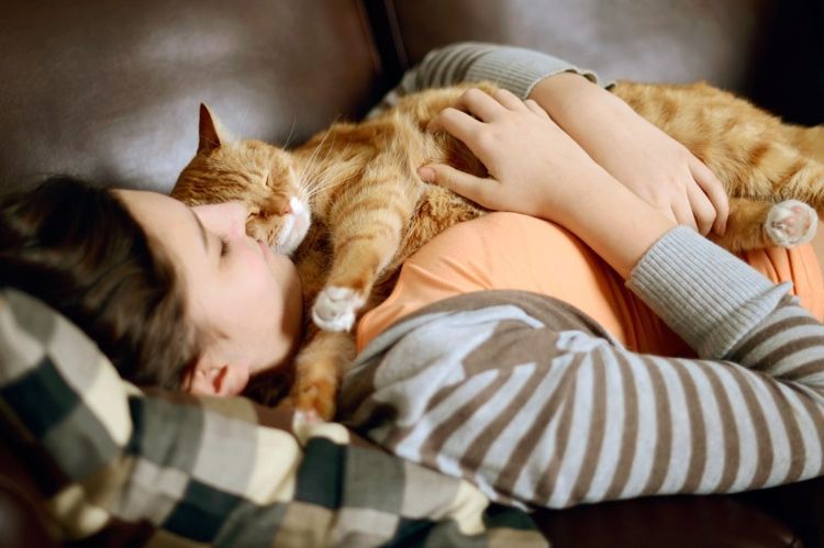 Почему кошки любят спать с хозяином: спят с хозяйкой, причины
