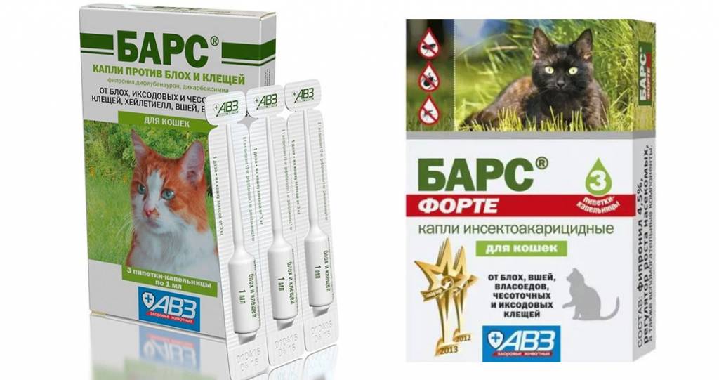 Бравекто для кошек: показания и инструкция по применению, отзывы, цена