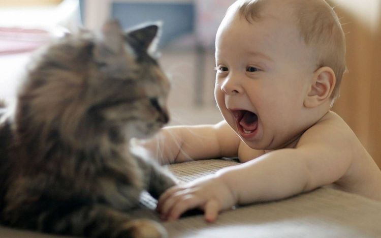 Ребенок и кот