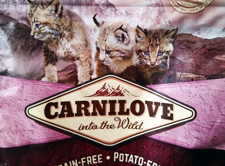Carnilove – корм для кошек