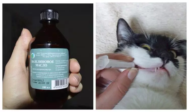Вазелиновое масло для кошек | при запорах, как давать, дозировка, доза