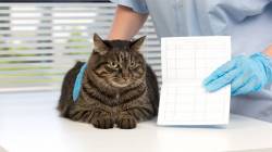 ��� ����� ���������������� ����� #7