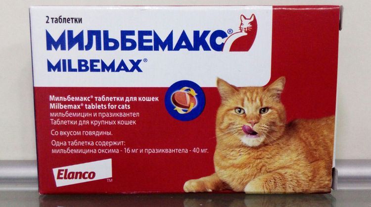 Мильбемакс для котов