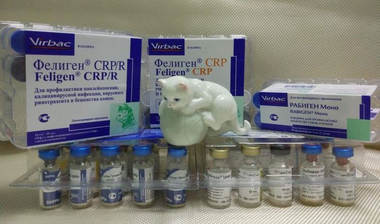 Вакцина для кошек Фелиген