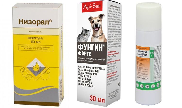 Препараты для лечения грибка у собак