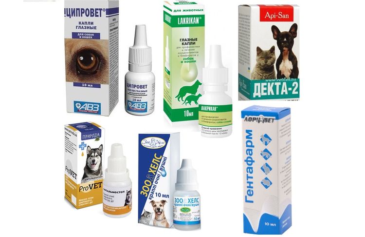 Офтальмологические препараты для собак
