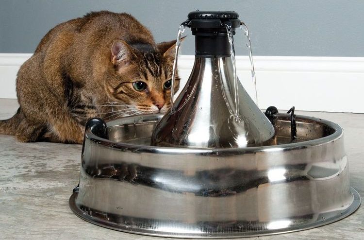 Поилка-фонтанчик для кошек