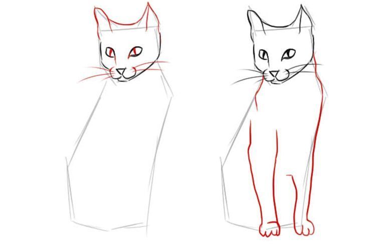 Как нарисовать сидячую кошку в полный рост